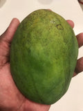 Coconut Cream Mango