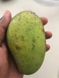 Lemon Meringue Mango “Po Pyu Kalay”