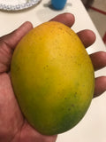 Coconut Cream Mango