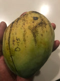 O-15 Mango