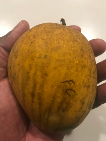 Fruit Coctail Mango