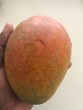 Fruit Punch Mango