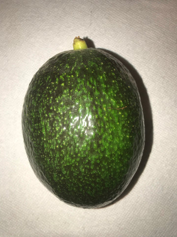 Ovo Negro Avocado
