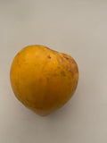 Canistel “Egg Fruit”